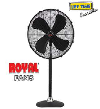 Royal pedestal fan